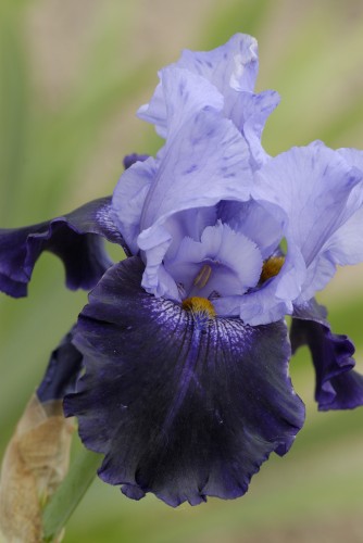 Nordwest Progress.jpg