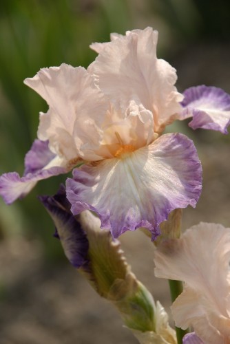 Planned Treasure_1.jpg