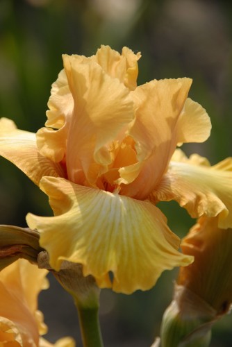 Private Treasure_1.jpg