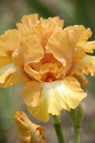 Private Treasure_2.jpg